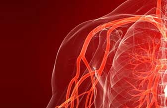 Priscila Nahas - Foto 1