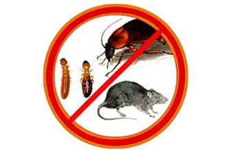 Atak Controle Pragas Urbanas - Foto 1