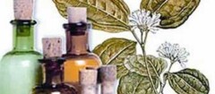 farmacias-de-homeopatia-campo-belo-1387298446