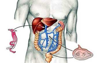 Instituto Sorbello - Foto 1