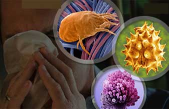 Sidnei Semi Chaim - Foto 1