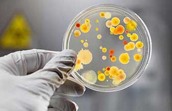 Clínica São Lucas Sbc - Foto 1