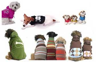 Trakeneiros Pet Shop - Foto 1