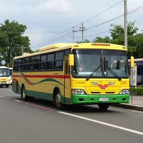 nova linha da Viação Campo Belo