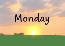 segunda-feira amanhece com o sol em São Carlos e região