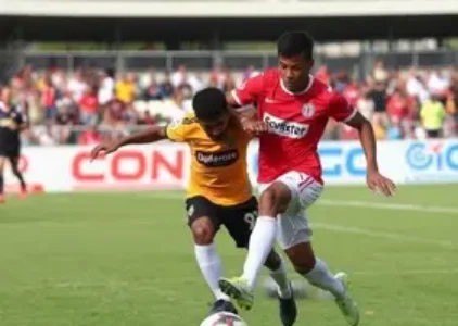 Últimas noticias de Campo Belo