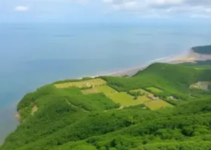 Últimas noticias de Campo Belo