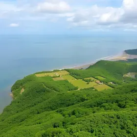 Belenzinho