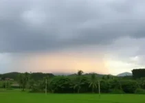 queda nas temperaturas Ribeirão Preto