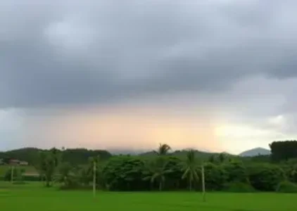 Últimas noticias de Campo Belo