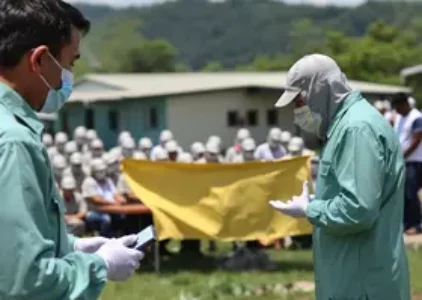 Últimas noticias de Campo Belo
