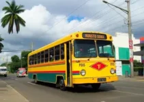 Osasco para Campo Belo