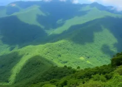Últimas noticias de Campo Belo