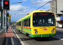 transporte público gratuito