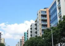 serviços de empregabilidade