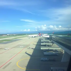 Aeroporto de Congonhas C/B para Puc-Sp de transporte público