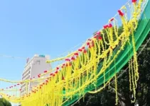 Dia Nacional da Esfiha