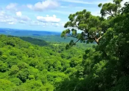 Últimas noticias de Campo Belo