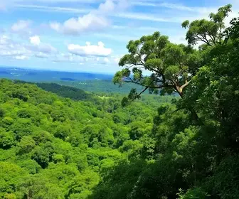 Parque Natural Municipal Jaceguava