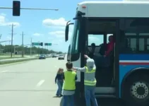 rodotrem irregular